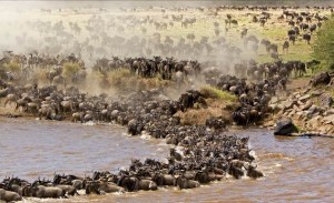 Top Touristic Attractions Kenya