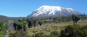 Kilimanjaro Climb Marangu Route