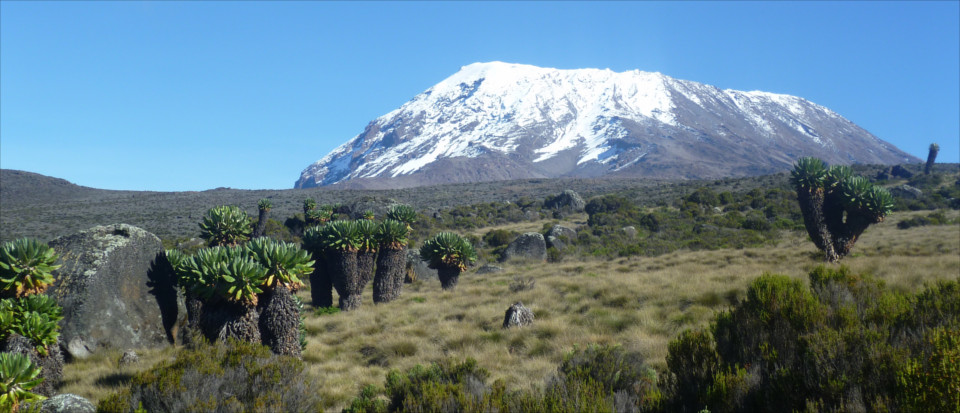 Kilimanjaro Climb Marangu Route