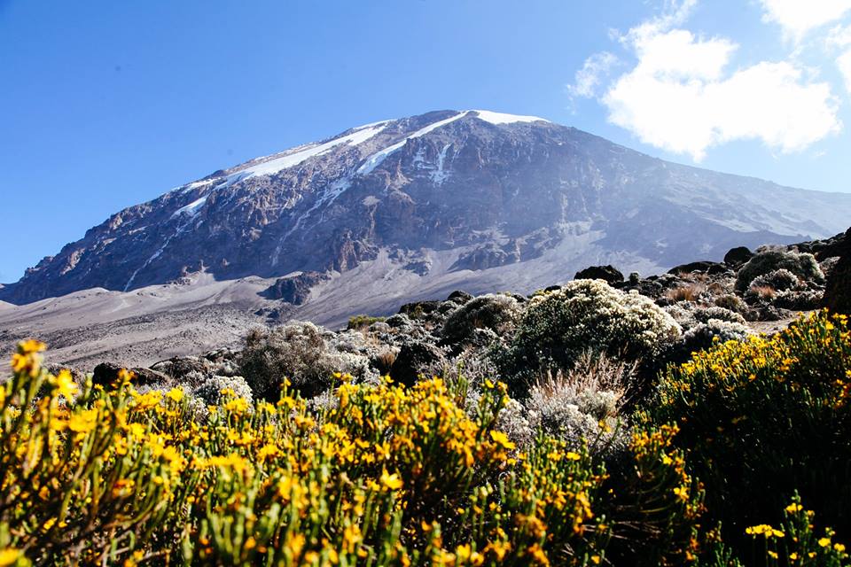 Kilimanjaro Climb Marangu Route