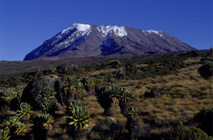 Kilimanjaro Climb Marangu Route