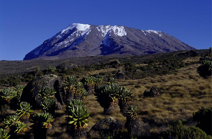 Kilimanjaro Climb Marangu Route