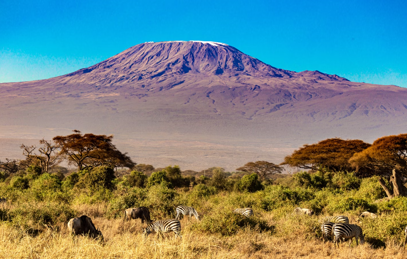 Screenshot 2024-06-15 19.38.09