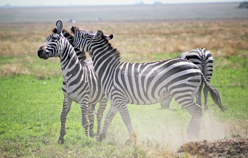 Screenshot 2024-06-15 19.38.42