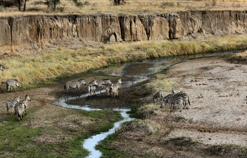 Screenshot 2024-06-15 19.49.43