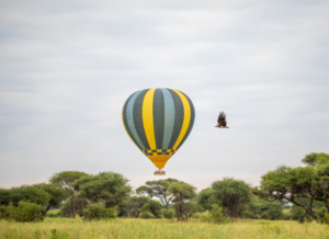 Screenshot 2024-06-15 19.49.56