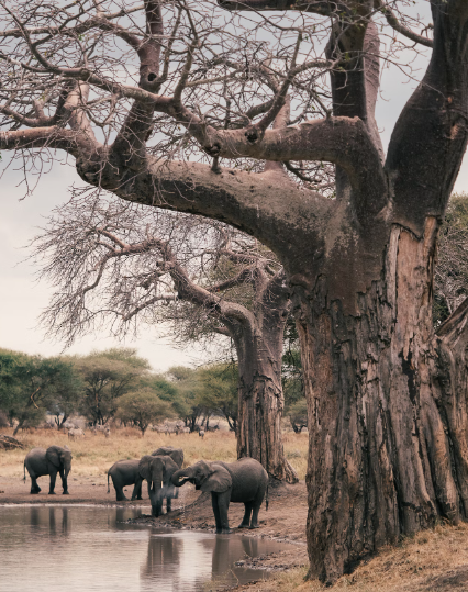 Screenshot 2024-06-15 19.50.27