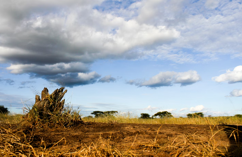 Screenshot 2024-06-15 19.50.40