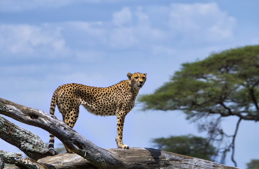 Screenshot 2024-06-15 19.50.47