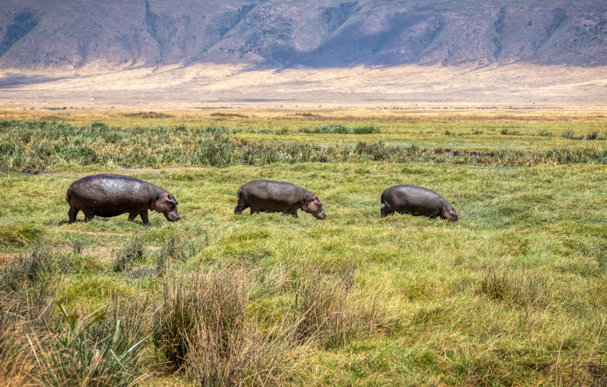 Screenshot 2024-06-15 20.56.03